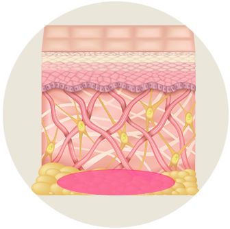 Botox & Skin Botox 1/2