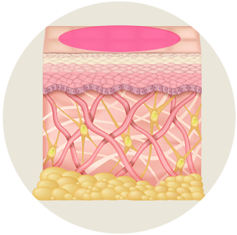 Botox & Skin Botox 2/2